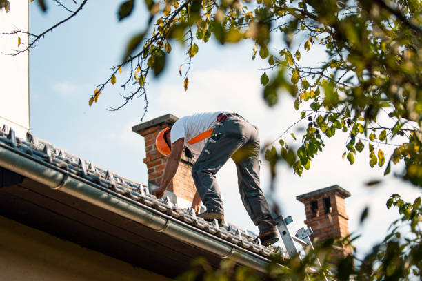 Best Metal Roofing Contractor  in New Madison, OH