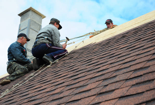 Best Gutter Installation and Roofing  in New Madison, OH